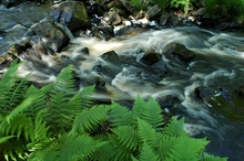 Beim Wasserfall