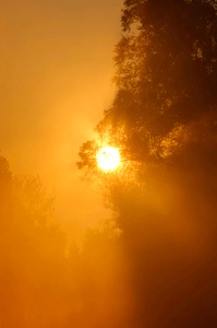 Sonnenaufgang in den Donauauen ND