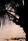 ND: Palme