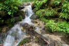ND: Wildbach