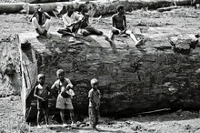 Impressionen aus dem Kongo 1982