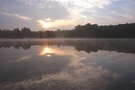 Frühnebel auf dem See