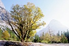 Herbst im Karwendel