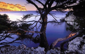 Steilküste der Calanques bei Cassis