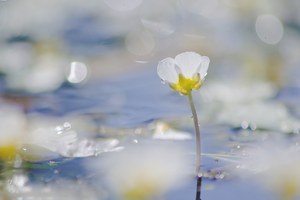 wasser und licht