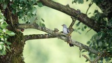 Bilder die wirkliche Geschichten erzählen