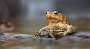 Neulich im Jacuzzi....