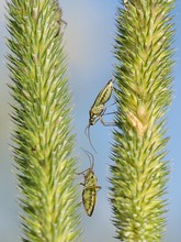 Zaghafte Annäherung