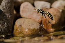 Wasserstart
