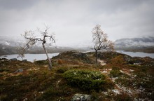 Norwegische Landschaft