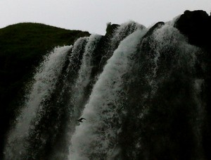 Eine kalte Dusche aus Island gefällig ?