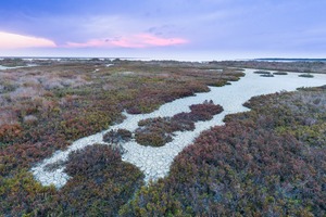 Camargue