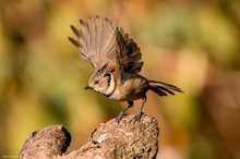 Abflug