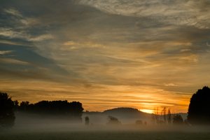 Bodennebel