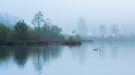 Herbstliches Salzkammergut im Nebel