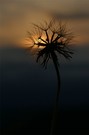 Am Abend