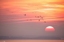 Abendstimmung