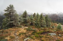 Erster Frost in den Bergen