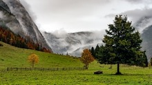 Herbst im Ahornboden