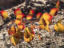 ein sommerlicher Herbsttag