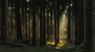Im Wald