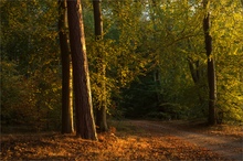 Herbstabend  am Seeufer