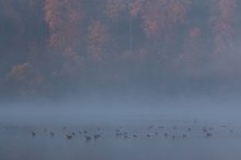 Herbststimmung