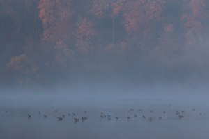 Herbststimmung