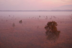 Moor von oben