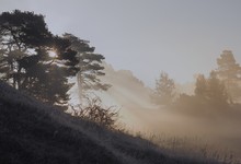 Frostiger morgen mit jeder Menge Nebel