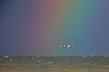 Regenbogen an der Ostsee