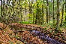 Herbst im Bergischen