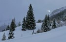Stille