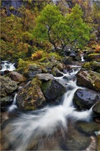 Autumn in Scotland