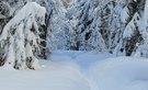 Knarschen in der winterlichen Stille