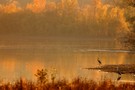 Herbststimmung im Ilkerbruch