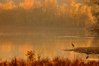 Herbststimmung im Ilkerbruch