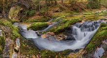 Herbst am Wildbach im Salzkammergut