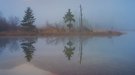 Nebel, Nebel und nochmals Nebel