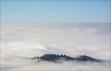 Insel im Nebel