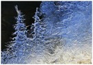 Eiskristalle wie kleine Eisbäumchen