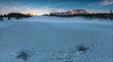 °°° Eisaugen °°°