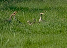 Familienausflug