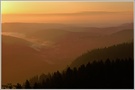 Morgenstimmung auf dem Seebuck/ Feldberg, Südschwarzwald