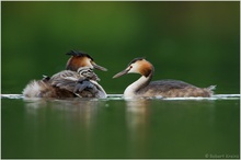 Familienausflug