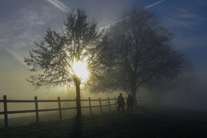 Morgenspaziergang an der Nebelgrenze