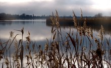 Zernsee - Stimmung