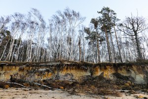 Nach der Sturmflut...