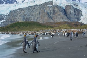 Zwei Glückliche im kalten Paradies