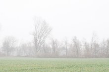 Trübsal im Nebel